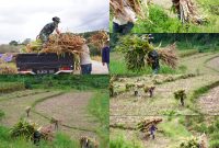 {"source_type":"vicut","data":{"client_key":"aw889s25wozf8s7e","source_type":"vicut","source_platform":"mobile_2","appVersion":"16.9.0","enterFrom":"new_image","os":"android","product":"vicut","editType":"image_edit","region":"ID","picture_id":"XELKYZIS-CDPW-118V-IG5I-IXPLCB6Z2K87","pictureId":"XELKYZIS-CDPW-118V-IG5I-IXPLCB6Z2K87","capability_name":"capcut_photo_editor"},"tiktok_developers_3p_anchor_params":"{"client_key":"aw889s25wozf8s7e","source_type":"vicut","source_platform":"mobile_2","appVersion":"16.9.0","enterFrom":"new_image","os":"android","product":"vicut","editType":"image_edit","region":"ID","picture_id":"XELKYZIS-CDPW-118V-IG5I-IXPLCB6Z2K87","pictureId":"XELKYZIS-CDPW-118V-IG5I-IXPLCB6Z2K87","capability_name":"capcut_photo_editor"}"}