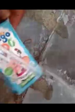 “Demi Target, Abaikan Kesehatan? Susu MBG Diduga Berulat Tetap Disalurkan ke Siswa”