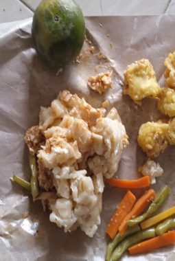 Menu MBG Disorot: Wali Murid Sebut “Pakan Ayam”, BGN Didesak Tutup SPPG Nakal