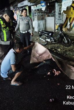 Tabrak Lari di Jalur Pamekasan-Sumenep, Satu Orang Meninggal Dunia di TKP