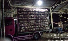 YBH PEGASUS DAN TIM SATUAN KHUSUS AMBIL SIKAP TEGAS TERHADAP JAGAL AYAM YANG DIDUGA ILEGAL